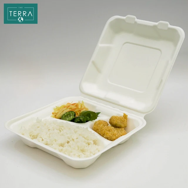 Surgarcane Bagasse Biodegradable Packaging Food Pulp Moulding Clamshell 2 compartment (950ml) From Vietnam