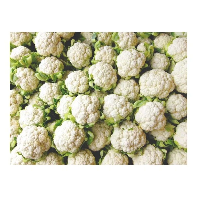 
Wholesale Dealer Of Cheapest Price Fresh Vegetables Cauliflower 