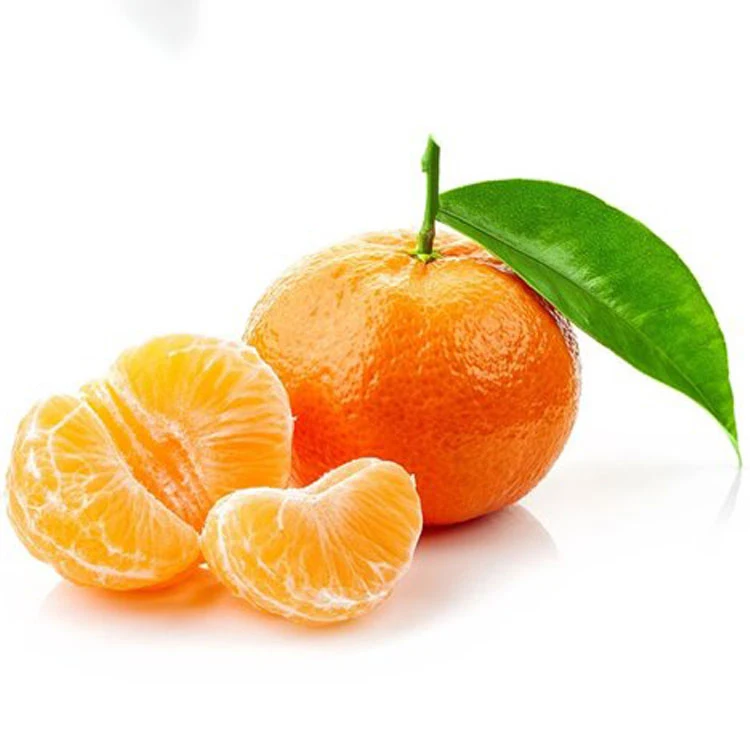 Best sales wholesale fresh mandarin orange manufacturers