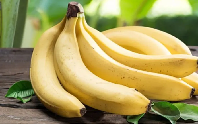 Fresh Cavendish Bananas Fresh Yellow Banana High Quality Fresh Fruit Wholesale Price Export From Vietnam
