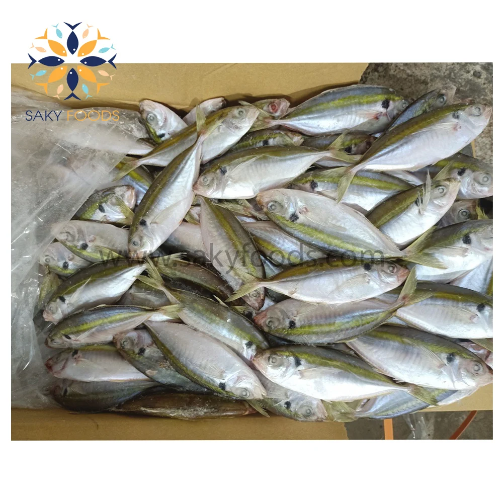 New Frozen Yellow Stripe Trevally Fish From Vietnam With Good Price