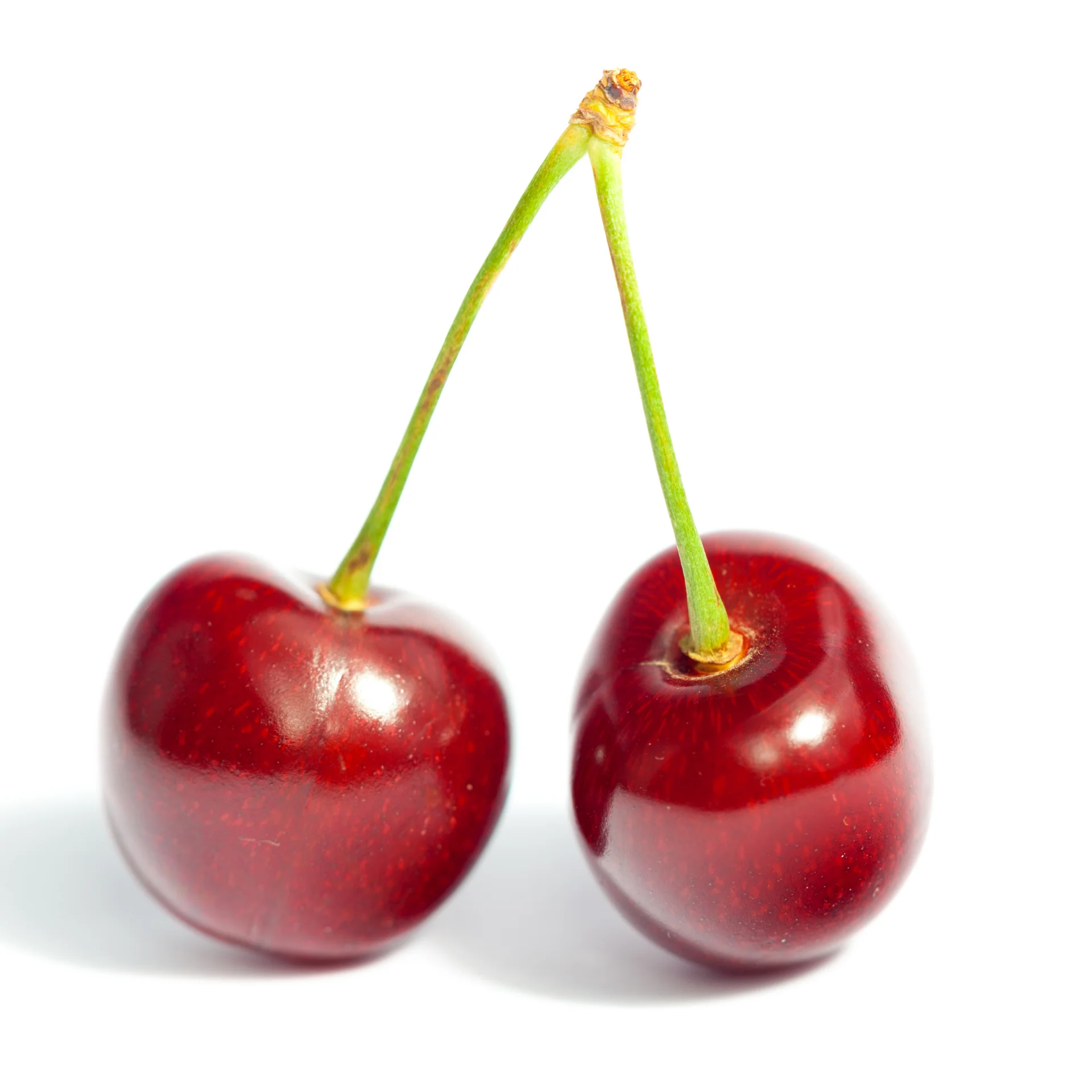 Cherry - High quality