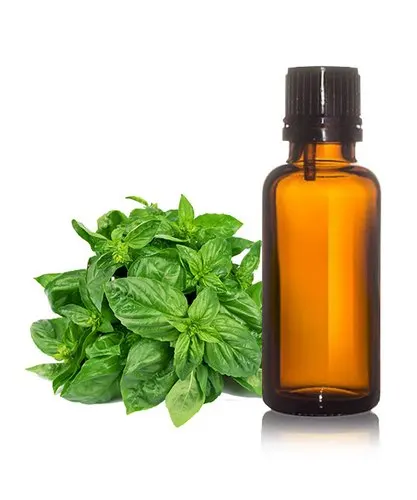Лекарственное Масло Базилика от SNN Natural Products