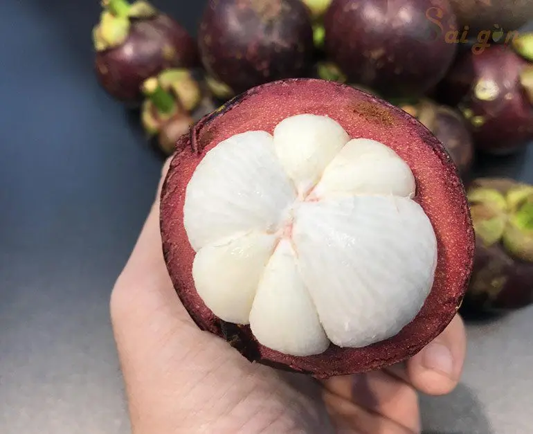 Fresh Mangosteen with thick juicy pulp from Vietnam - Ms KiO HYUNH + 84 34 375 8904