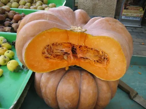 VIETNAM FRESH PUMPKINS   THOMAS +84961478592