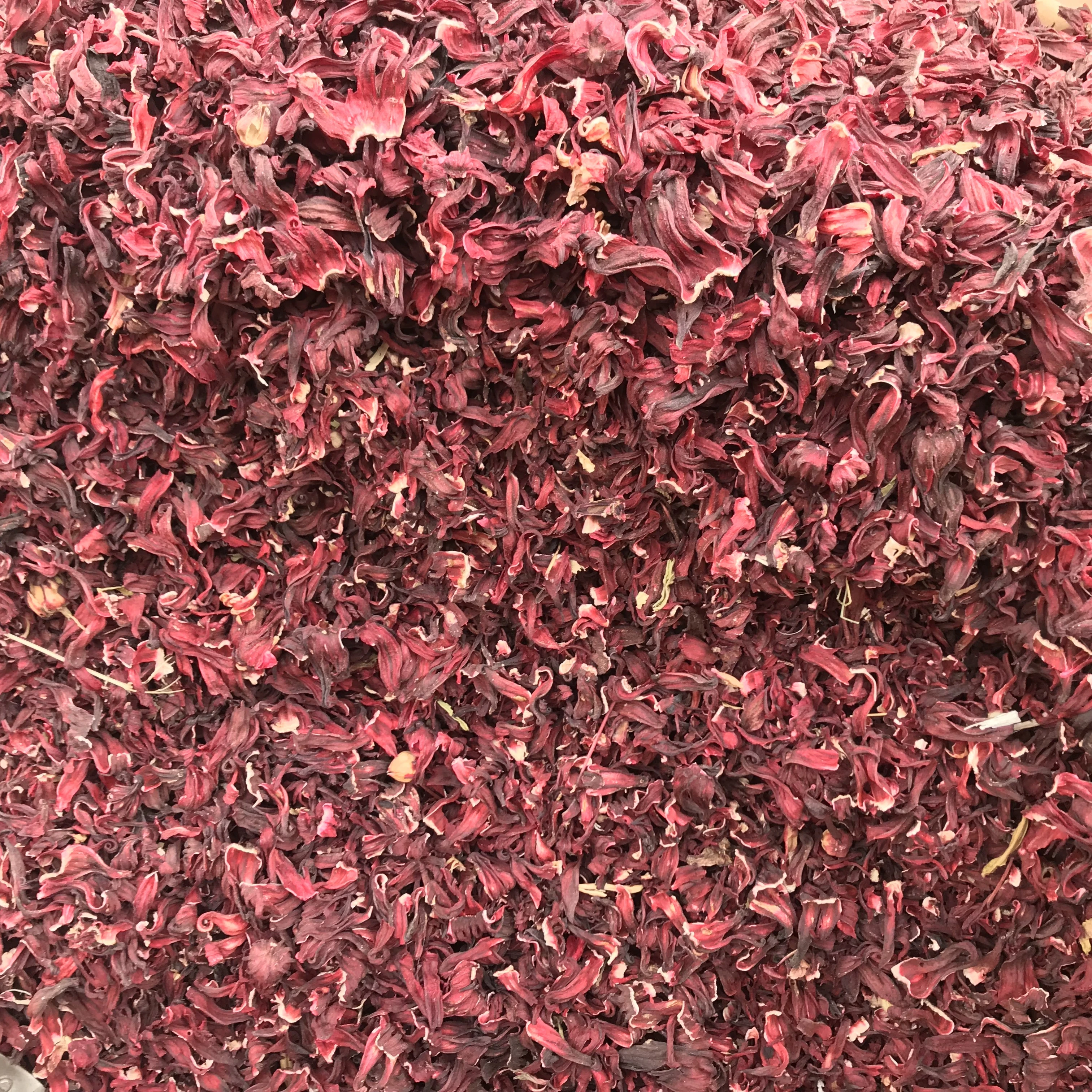 Highest Quality Hibiscus Flower and All Over the World From Plant