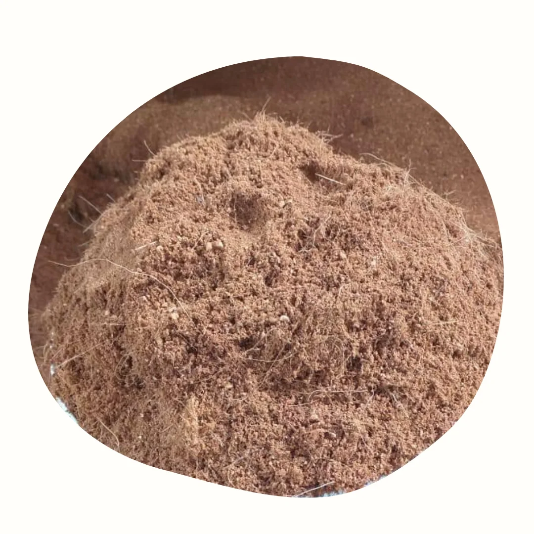 COCOPEAT INDONESIA BEST QUALITY