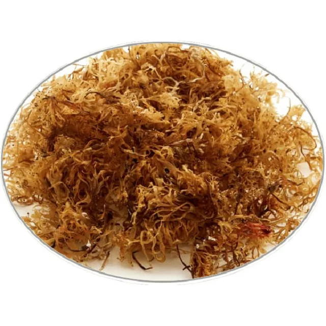 Гель SEAMOSS сушеный ирландский морской мох по лучшей цене от VIET NAM/