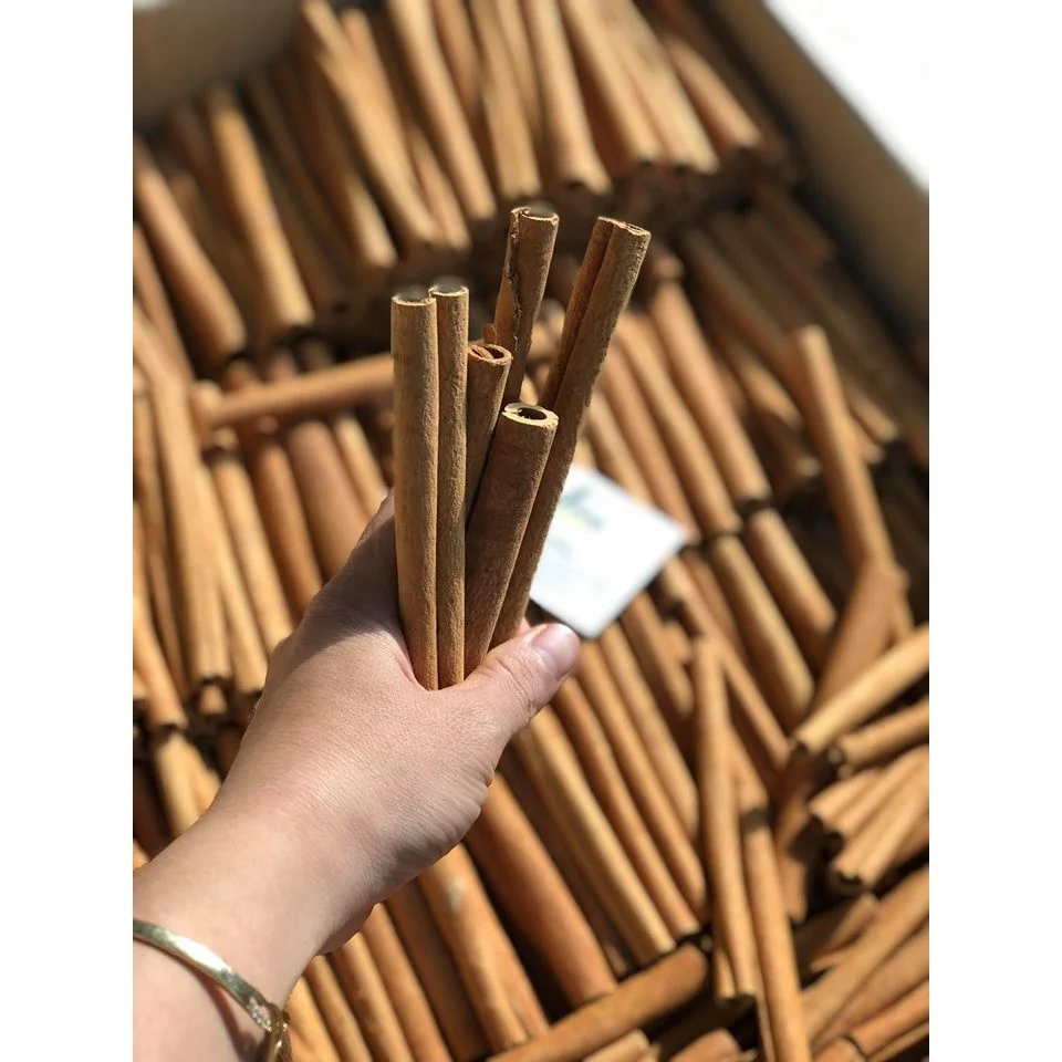 Top Sale Vietnam Spices Good High Quality Organic Cassia Sticks Cinamon