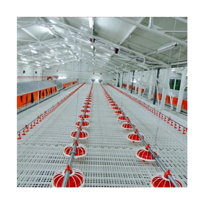 Poultry Automatic Feeder and Drinker China Poultry Farm Chicken Feeding Fully Automatic Feed System 1kg~40kg Provided Durable