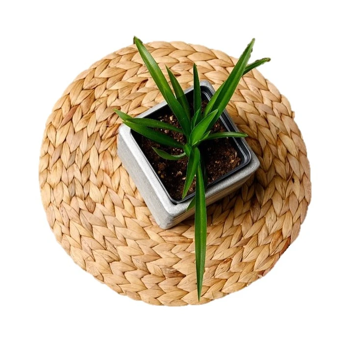 2023 Braided Round Rattan Placemats Party Wedding Natural  Water Hyacinth Handwoven Tablemat Home Restaurant Woven Placemats