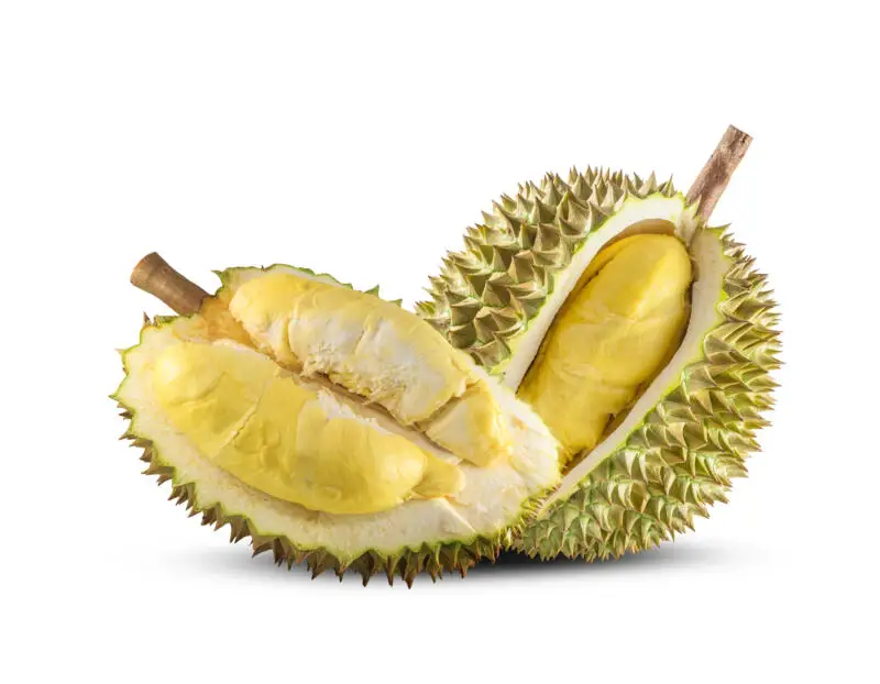  Durian is the king of popular fruit grown in Vietnam with a special delicious taste so it has been exported to many