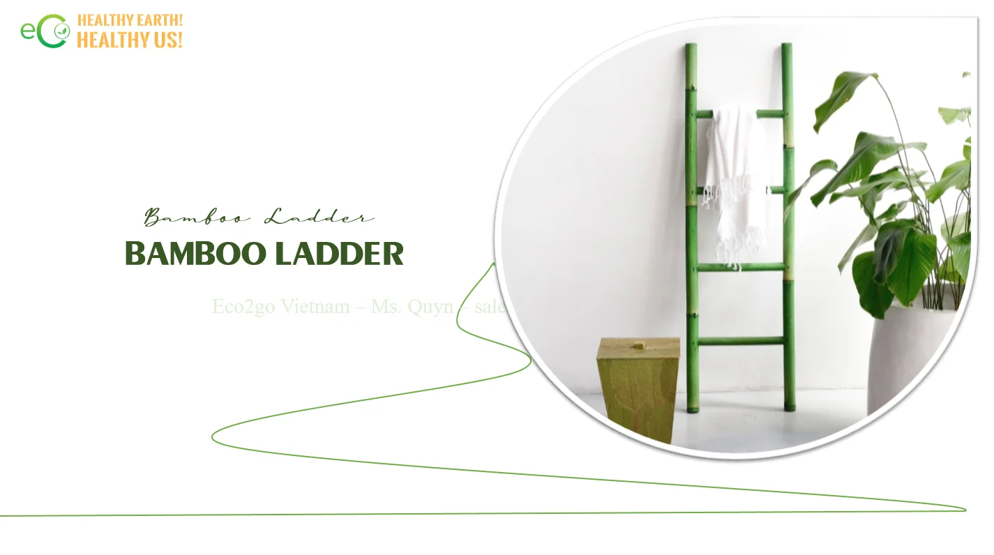 eco2govn_sales02_1 (1).PNG