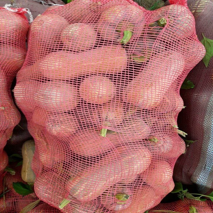 
Organic Fresh Pumpkin From Vietnam With High Quality 