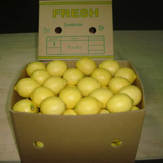 
Natural Fresh Lemon And Lime 