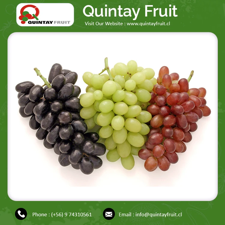 Томпсон без рассады зеленый виноград лидер продаж 2021 оптовая продажа сладкий свежий столовый фрукты