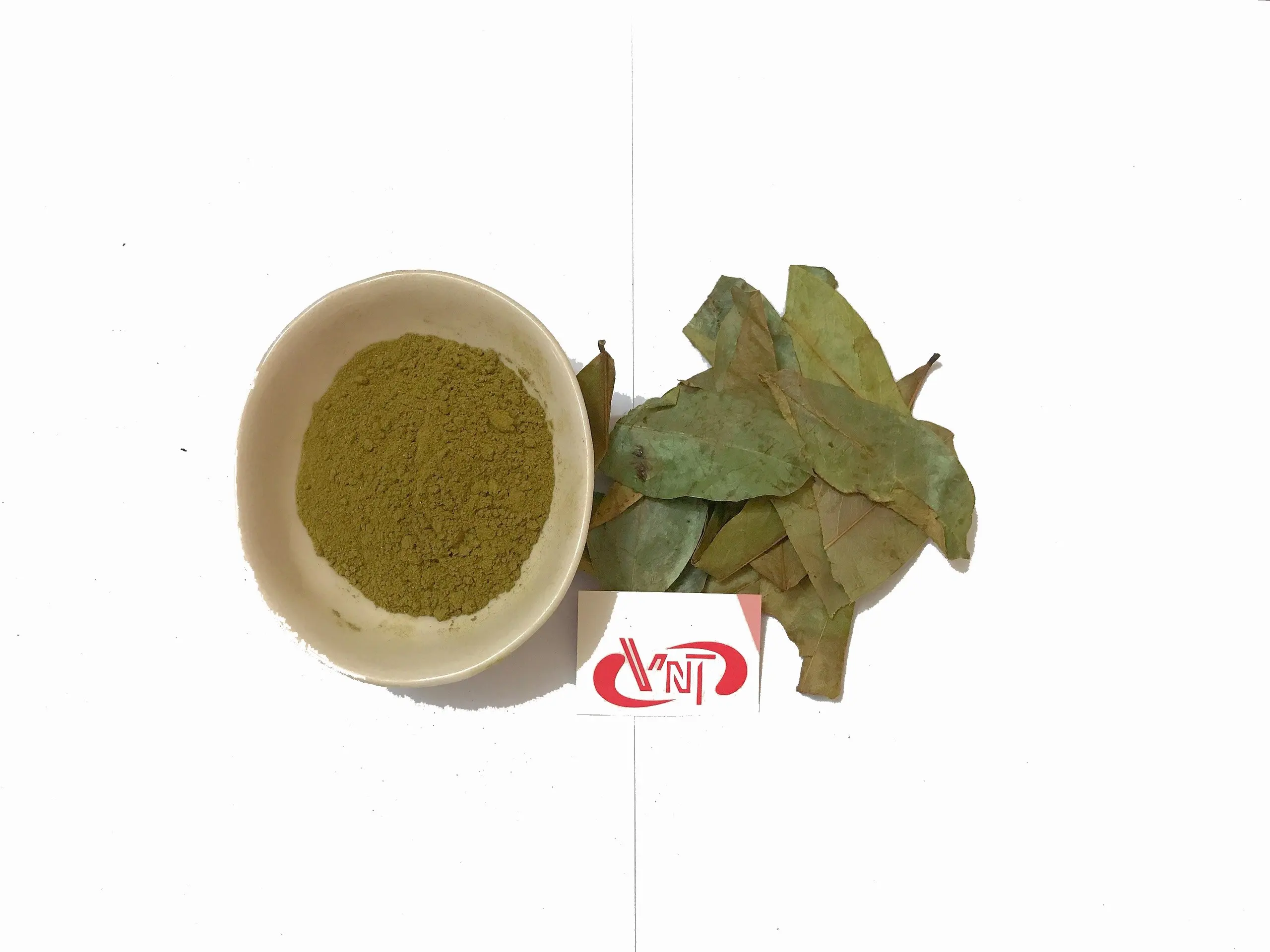
Premium Quality Health Tea Graviola Leaves / Soursop Leaves from Vietnam - Europe standard - W/A: +84 90 335 4981 