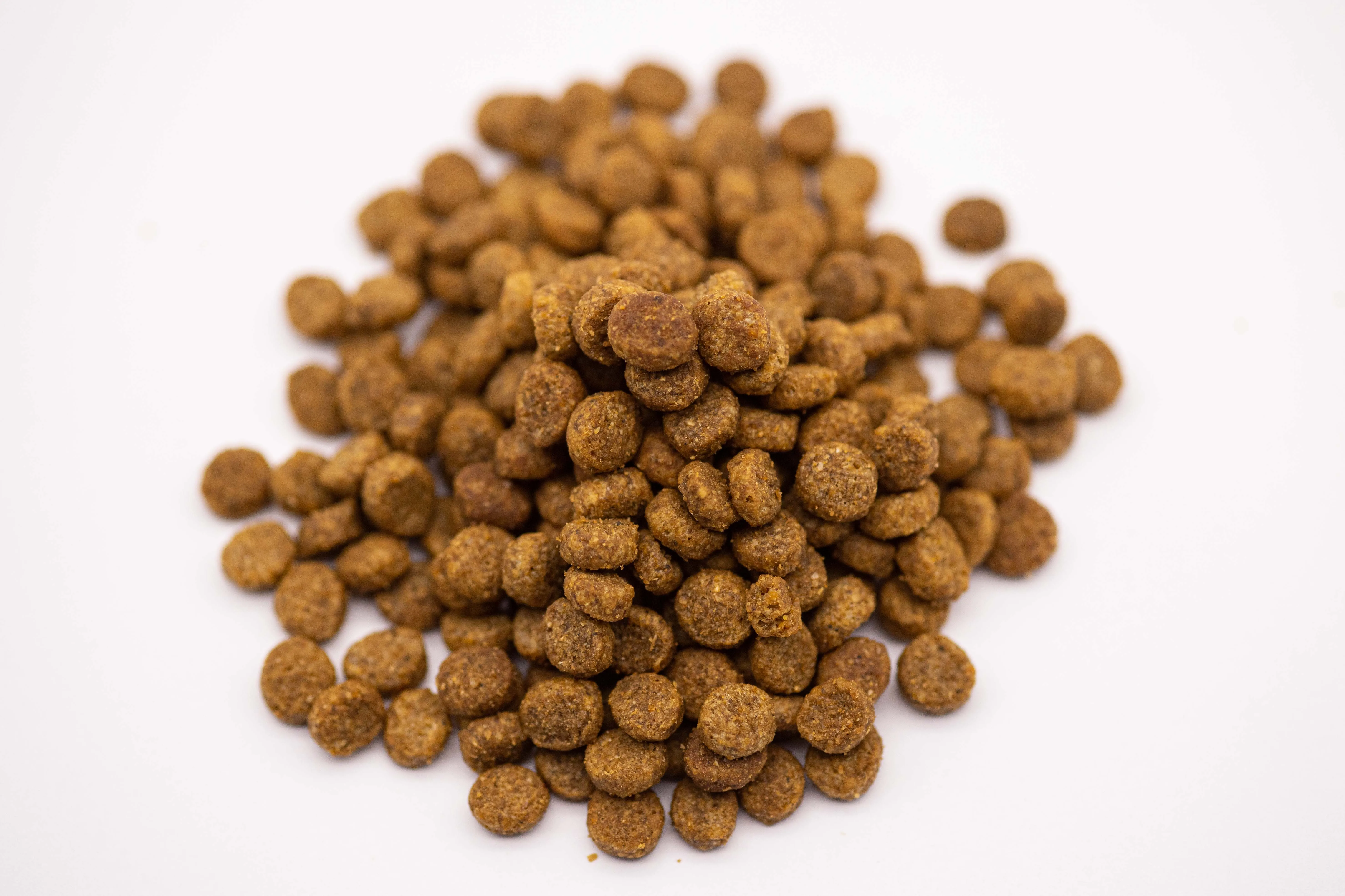 New Product - Fish Dried Proteins Content Adult Cat Food for Cat Wellness 0.4kg