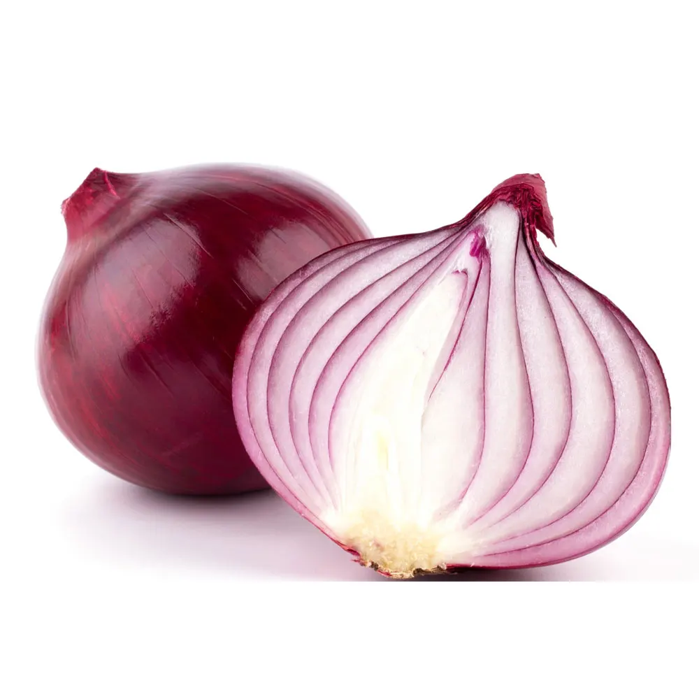 Hot Sale Factory Direct Supply Cheap Price Pakistan Best Made Fresh Vegetable Red Onion / Fresh Red Onions Export Quality