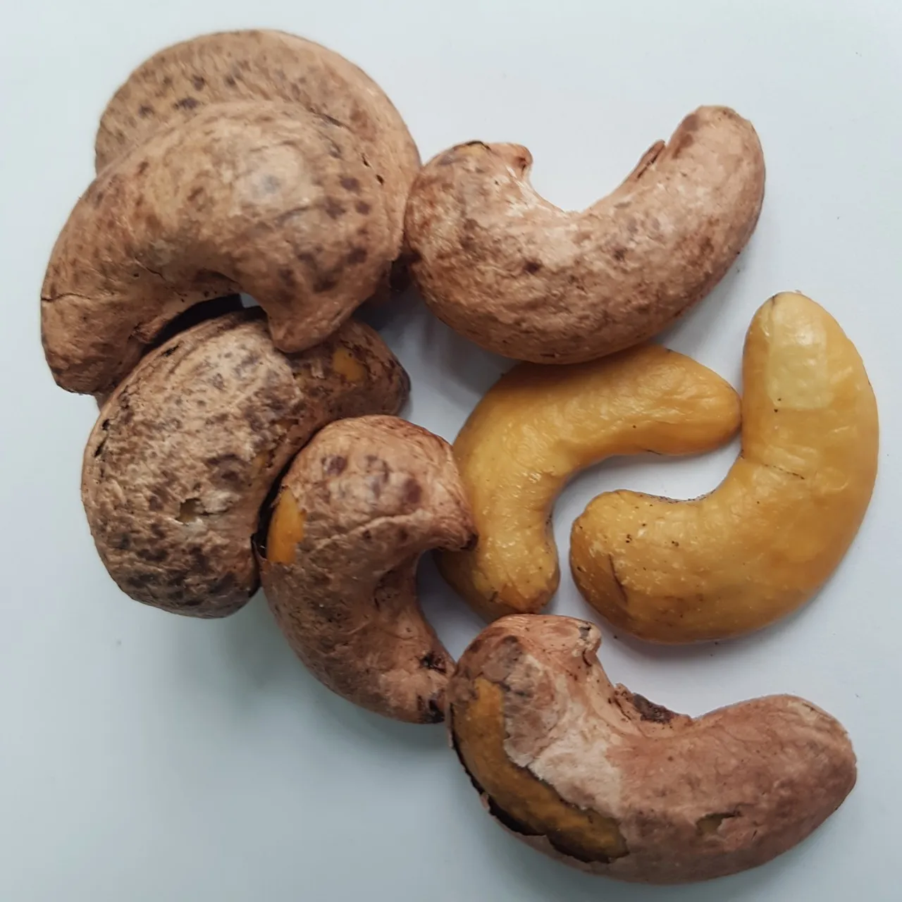 [Salted With Skin] Cashew Nut from Vietnam
