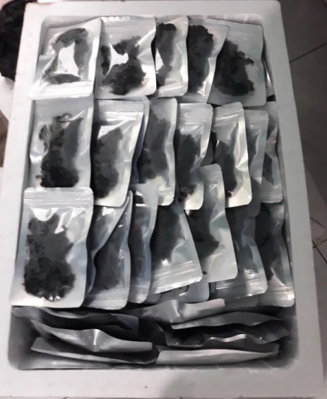 FRESH SEA GRAPE -SEAWEED_HIGH QUALITY - CHEAP PRICE +84905010988