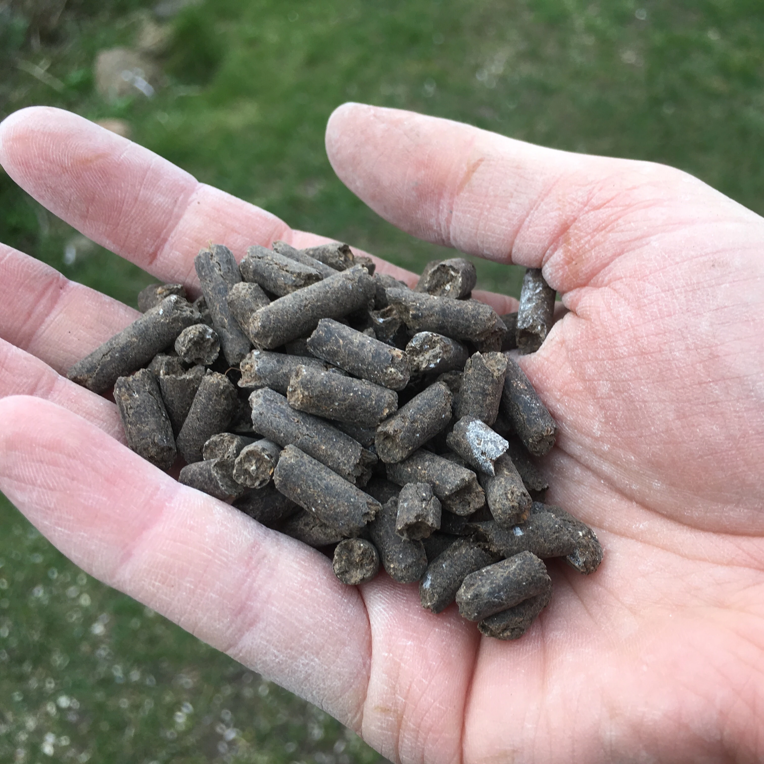 
Rich NPK seaweed + bat guano fertilizer/ seaweed fertilizer for sale - Whatsapp: +84-845-639-639 