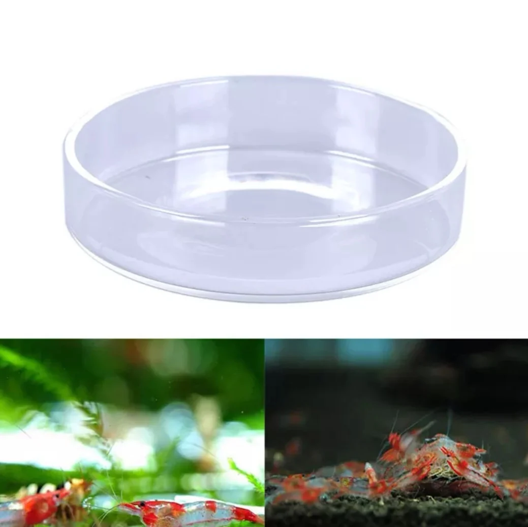 Aquarium Shrimp Feeding Dish Clear Glass Feeder Cup Fish Tank Feeding Food Tray Bowl for Shrimp Fish