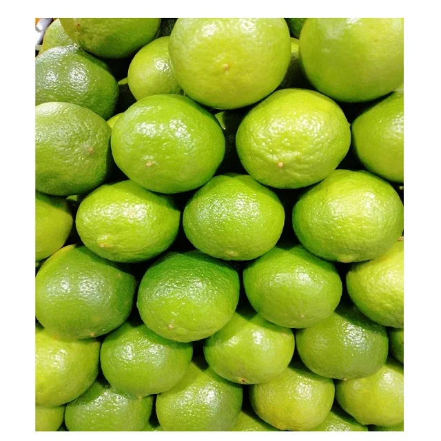 Лидер продаж на японском рынке свежий зеленый лайм хорошая цена высокое качество оптовая продажа без налога из Вьетнама
