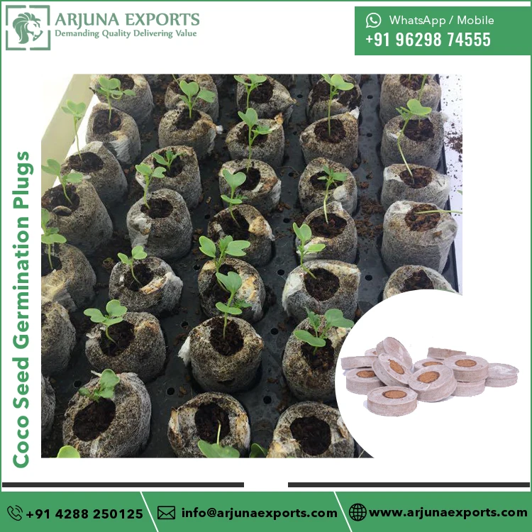Agricultural Grade Coconut Coco Peat Seed Starter Germination Plugs at Competitive Price Direct From Factory