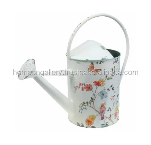 Wholesale Galvanized Home garden metal watering cans at low price