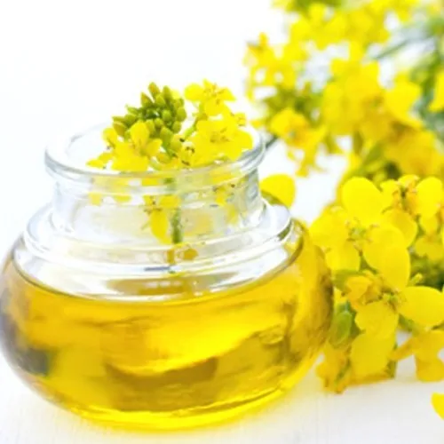 100% Crude & Refined Rapeseed Oil/Canola Oil For Sale
