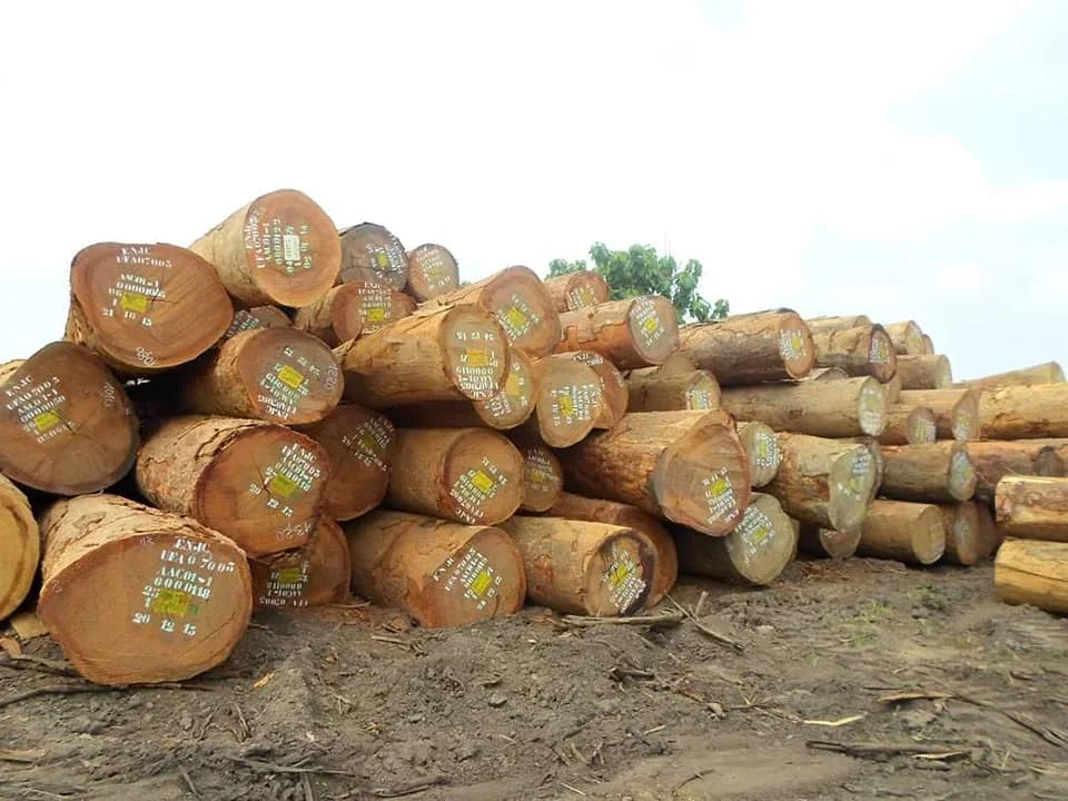 Solid Wood Acacia Sawn Timber Solid Wood