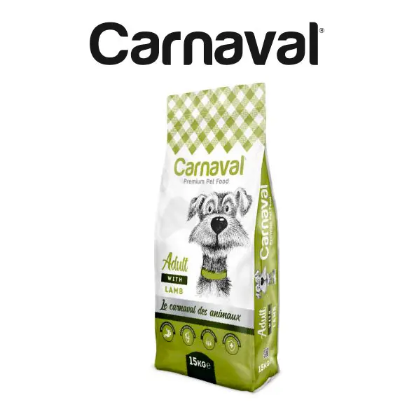 Canned Premium Pet Food with Chicken Flavor Gravy for Pet Kitten 8.7% Protein - 400 Gr (12 PCS)