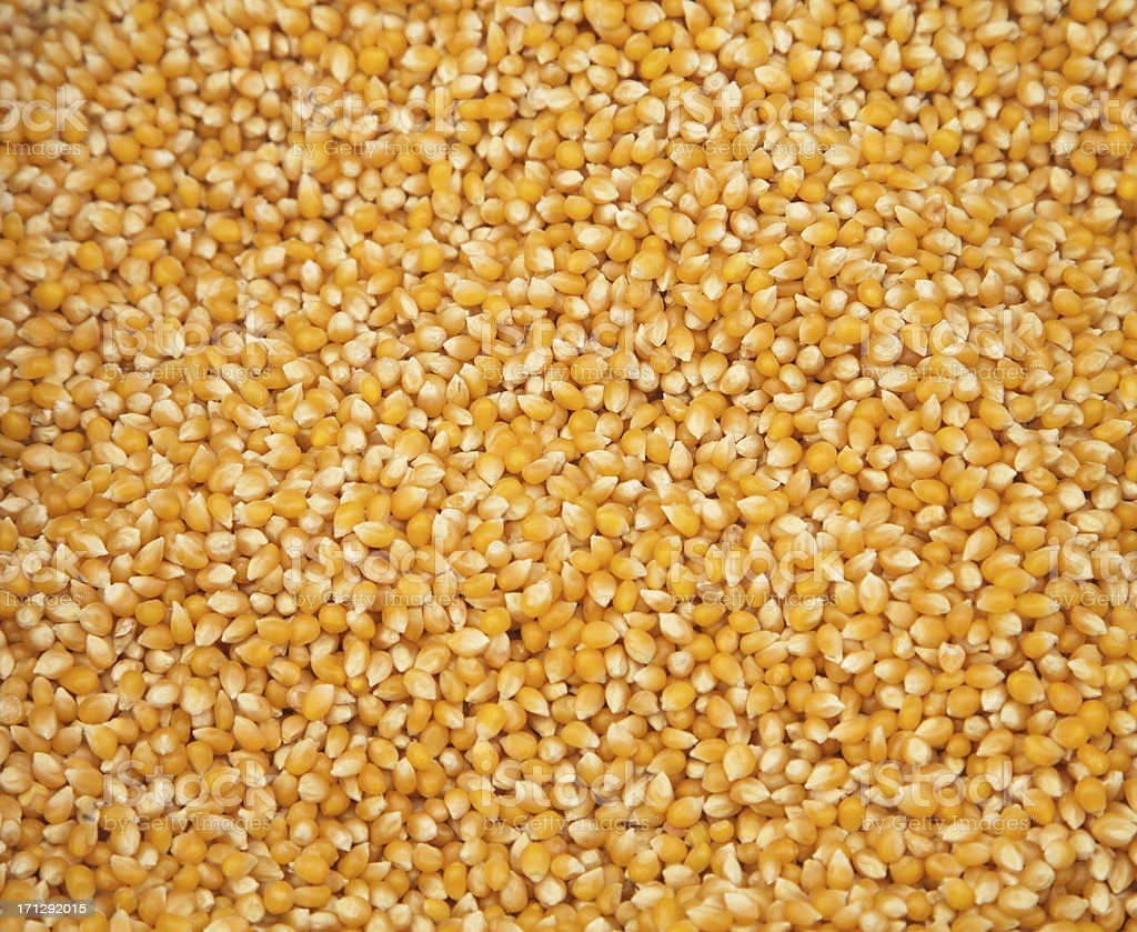 Super Quality Natural Non GMO Yellow Maize/Corn