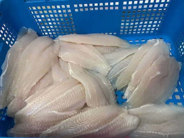 SUTCHI FILLET (1).jpg