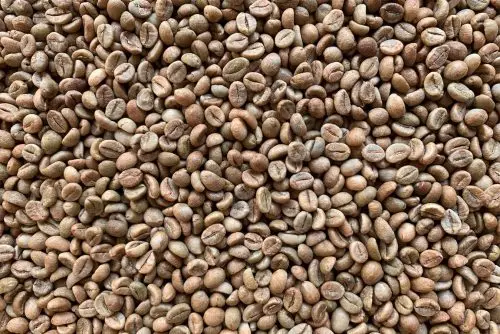 
Langbiang Coffee Bean Robusta Dry Roast 90 Coffee Is A Pronounced Fruity Flavor Can Be Easily Felt In A Cup Of Coffee 