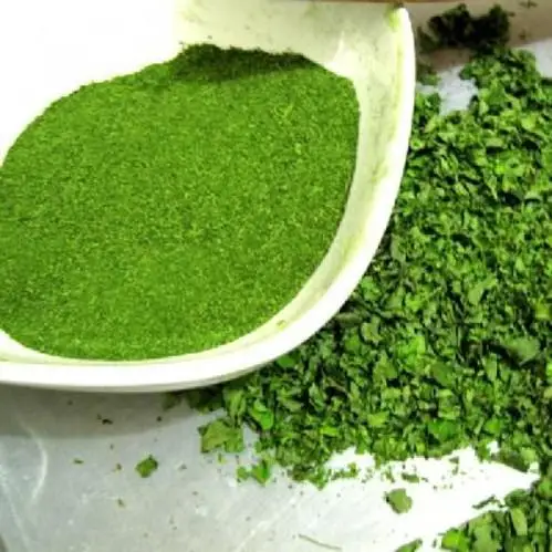 Wholesale organic moringa leaf powder moringa Oeifera  powder