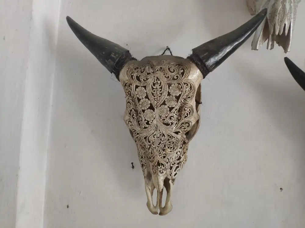 real animal skull cow head hand carved 100% in stock mixed design