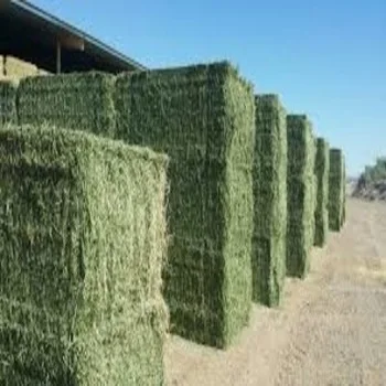 
Alfafa Hay Animal Feeding Stuff Alfalfa, hay/alfalfa hay pellets Hay/ Alfalfa in Bales Best Super Top Quality 