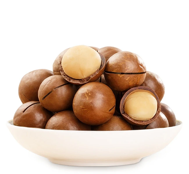 Macadamia Nuts Suppliers/ Shell and shell Macadamia Nuts/Whole Raw Macadamia Nuts