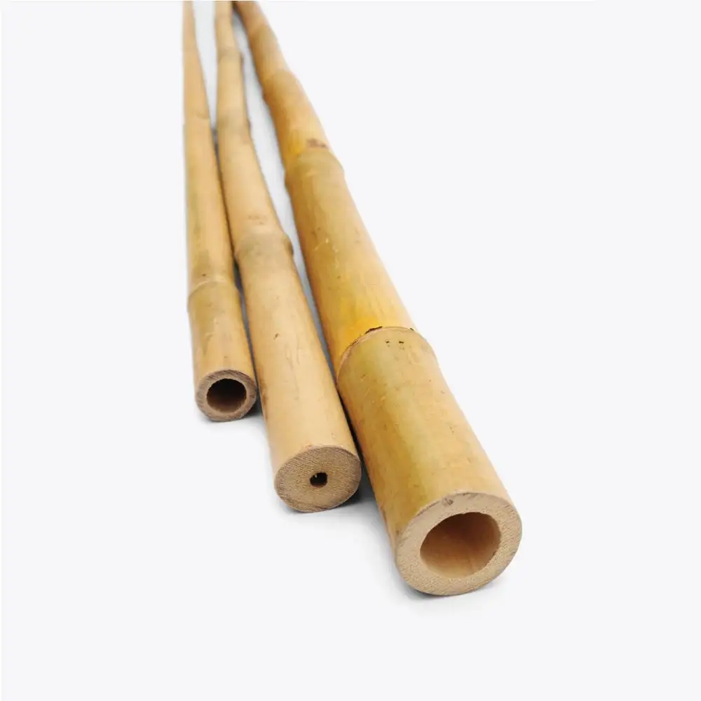 Vietnam high quality natural solid straight bamboo tent poles wholesales ready for export