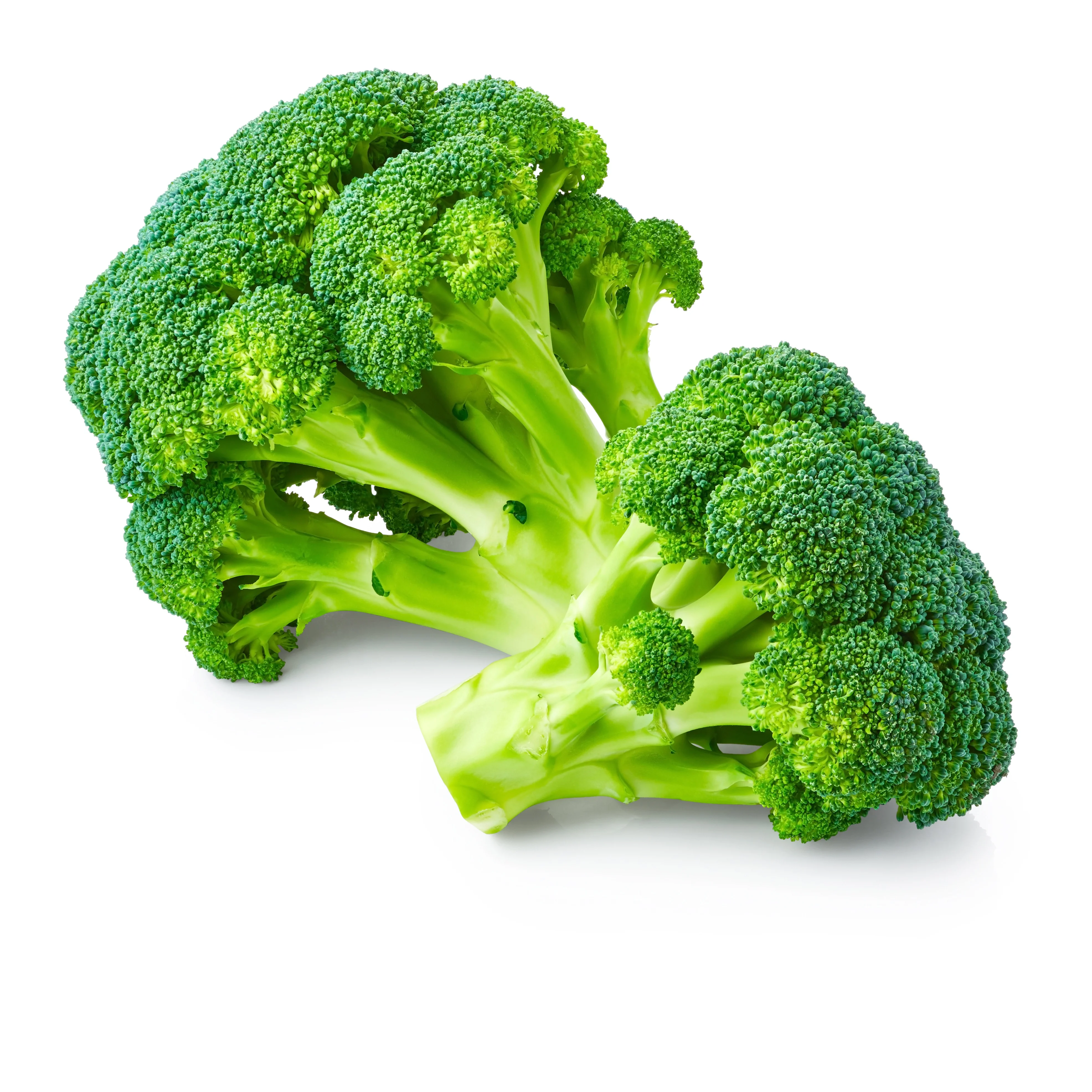 Top Grade IQF Frozen Broccoli Vegetables Fresh Broccoli Price (11000000765300)