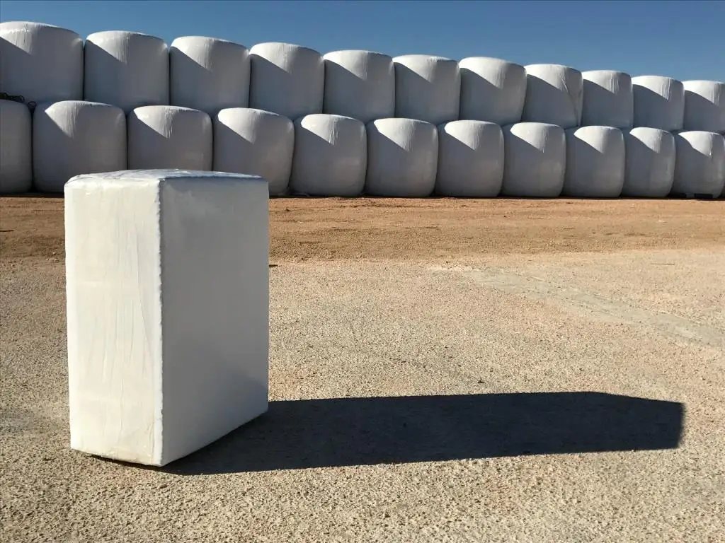 Silage of alfalfa and corn