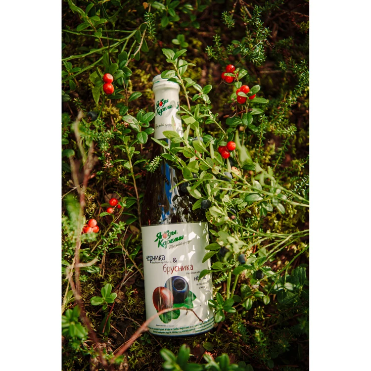 Лучшее качество, 100% натуральный ягоды и черники, Микс нектара, напиток сока, холодные напитки