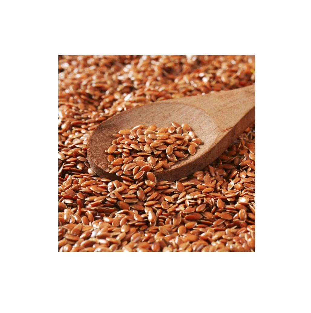 Organic Dried Flax seeds In Bags