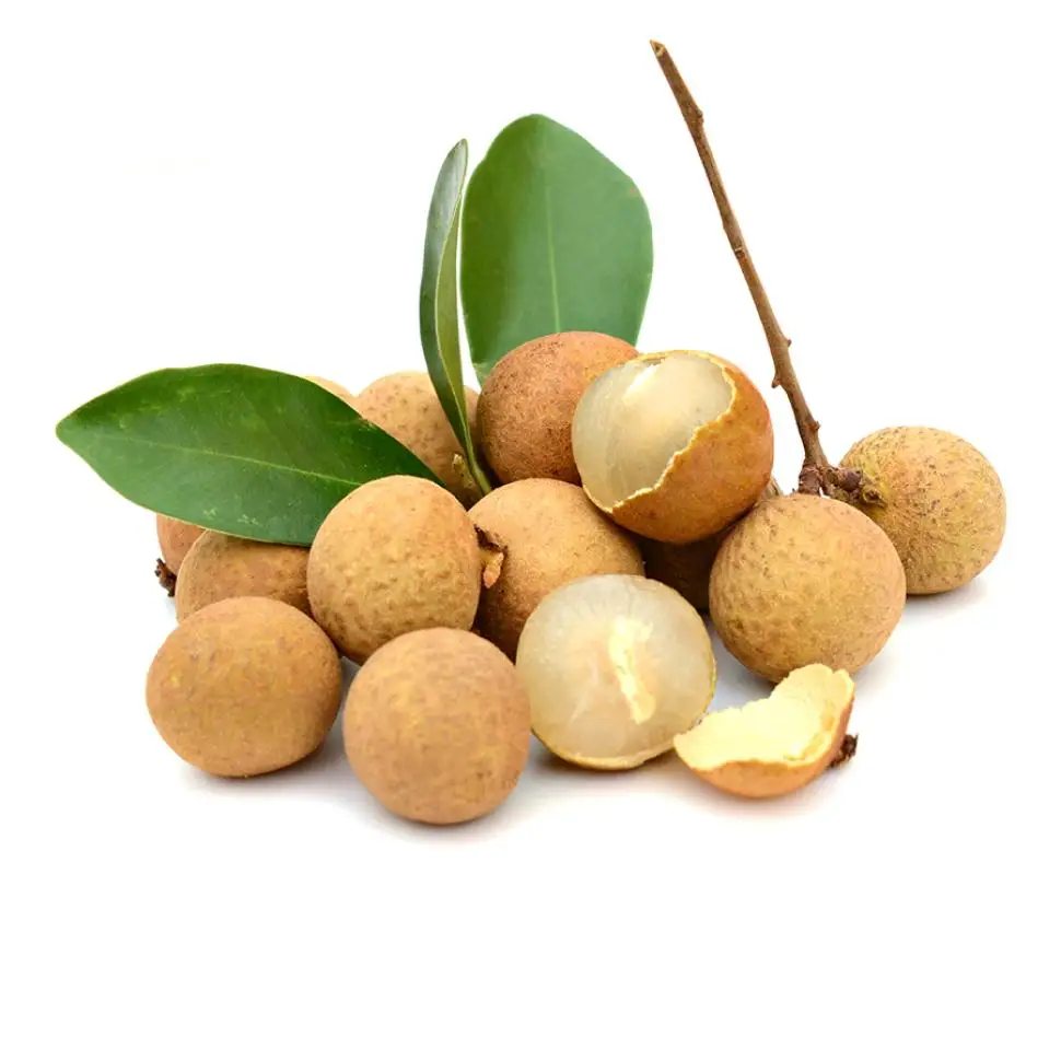 Fresh Longan Premium Grade Best Seller From Thailand By SP Organic International Thai Fruits Export