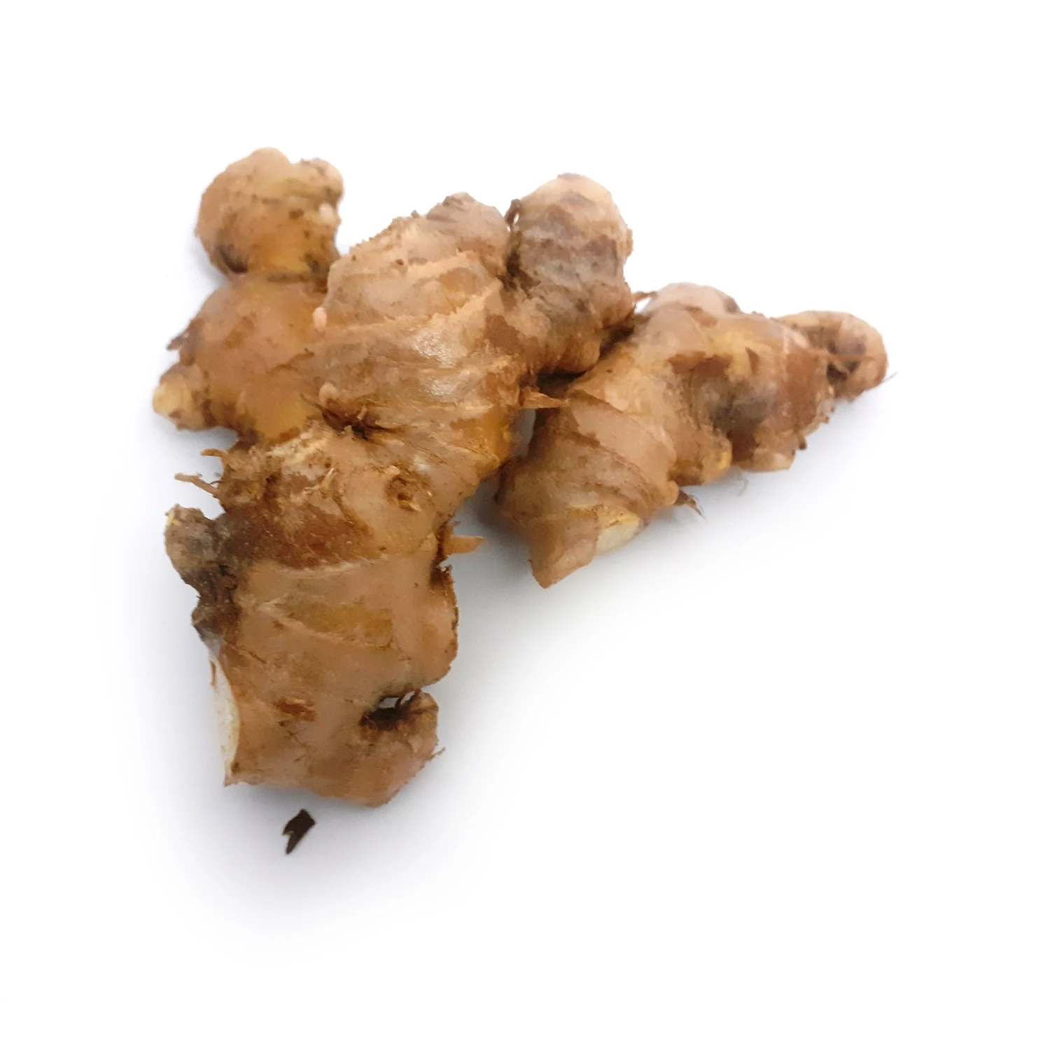 Свежий имбирь 100% сертифицированный органический [сушеный + имбирный порошок] 1 фунт 2 фунта в упаковке