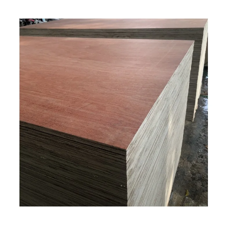 18mm Bintangor Plywood Commercial Plywood Cheap Plywood From Vietnam Manufacturer