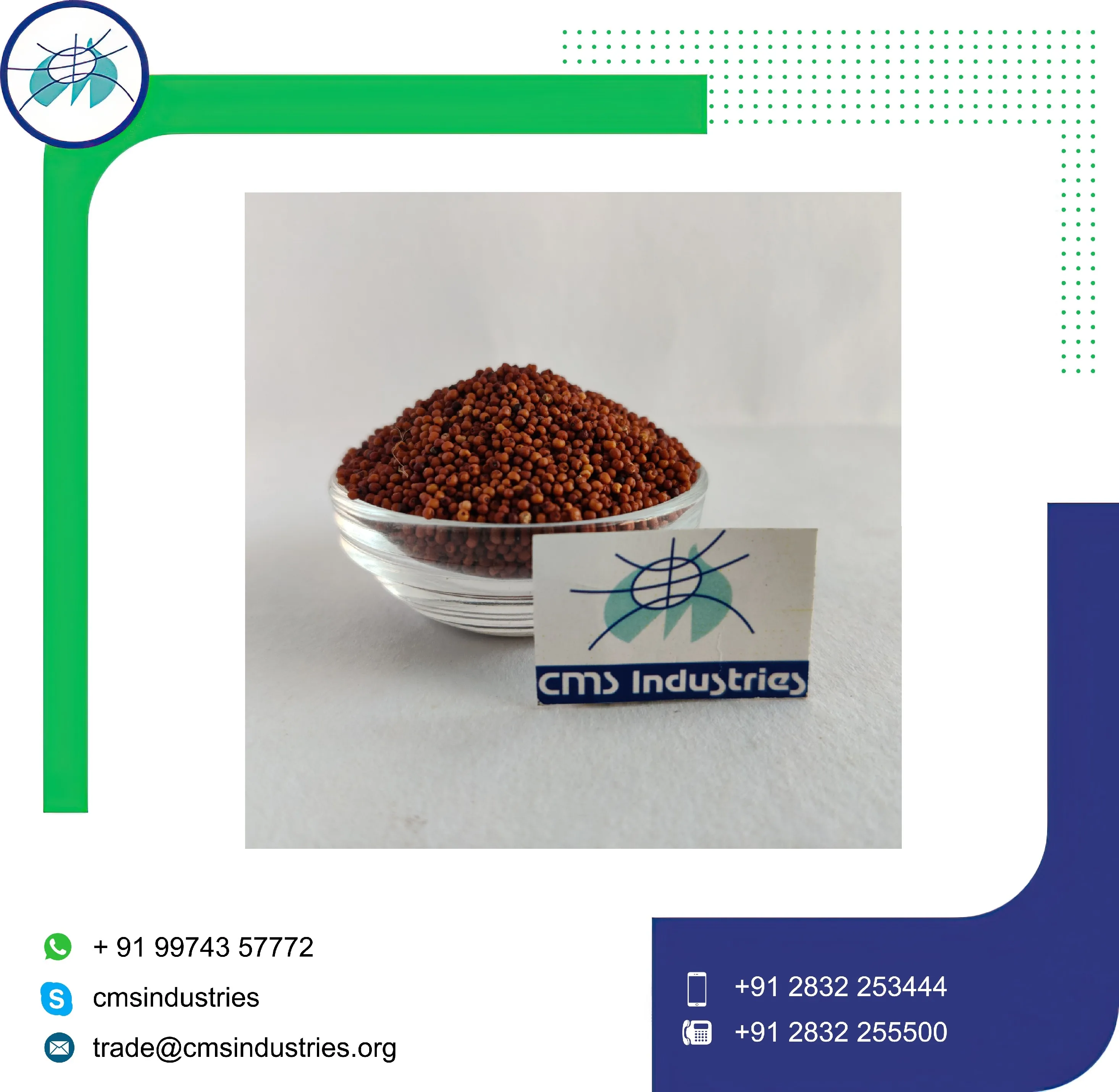 Ragi Seeds at Bulk Price