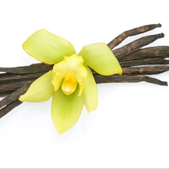 Organic vanilla beans In Whole Sale price